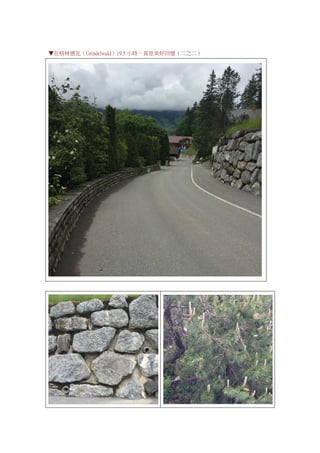 ▼在格林德瓦（Grindelwald）19.5 小時，真是美好回憶（二之二）
 