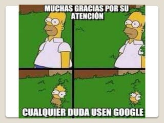 20.yaira caroliina herrera