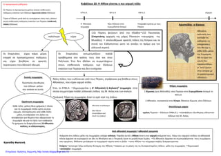 Κρανίδη Φωτεινή
Σε προηγούμενα μαθήματα:
Οι Πέρσες τα προηγούμενα χρόνια έκαναν επιθετικούς
πολέμους εναντίον των Ελλήνων (αμυντική στάση Ελλήνων).
Τώρα οι Έλληνες μετά από τις συνεχόμενες νίκες τους ,κάνουν
αυτοί επιθετικούς πολέμους εναντίον των Περσών (επιθετική
στάση Ελλήνων).
Οι Σπαρτιάτες είχαν πάρει μέρος
ενεργά σε προηγούμενους πολέμους
και είχαν βοηθήσει σε αρκετές
περιπτώσεις την ελληνική πλευρά.
παλιότερα τώρα
Οι Σπαρτιάτες αντιμετωπίζουν πολλά
προβλήματα στο κράτος τους όσο και στην
Πελ/νησο. Έτσι δεν ήθελαν να συμμετάσχουν
στους επιθετικούς πολέμους
εναντίον των Περσών και δεν συνέχισαν.
Άλλες πόλεις που κινδύνευαν από τους Πέρσες, στράφηκαν για βοήθεια στους
Αθηναίους, που είχαν ισχυρό στόλο.
Έτσι, το 478π.Χ. δημιουργείται η
οποία συμμετείχαν πολλές ελληνικές πόλεις της Μ. Ασίας και των νησιών.
*Δηλιακή: Έδρα της συμμαχίας ήταν το ιερό νησί της Δήλου.
Σκοπός συμμαχίας
Προστασία ελευθερίας
των πόλεων- μελών
που ανήκαν σε αυτήν.
Οργάνωση συμμαχίας
Κάθε πόλη- μέλος έδινε χρήματα ή πλοία
για το συμμαχικό στόλο ώστε να γίνει
ισχυρός. Αντιπρόσωποι από κάθε πόλη-
μέλος συνεδρίαζαν στη Δήλο και
αποφάσιζαν για θέματα που αφορούσαν τη
συμμαχία και για το ύψος των εισφορών.
Τα χρήματα τα διαχειρίζονταν 10 Αθηναίοι
πολίτες, οι ελληνοταμίες.
Ανάμεσα στις πόλεις-
πλοία άρχισαν να κυριαρχούν σε όλη τη Μεσόγειο και ο Πειραιάς έγινε το μεγαλύτερο λιμάνι.
σαν ηγεμόνες. Μάλιστα μετέφεραν το συμμαχικό ταμείο από τη
Σπάρτη ανησυχεί λόγω αύξησης δύναμης της Αθήνας
«αντίπαλη» συμμαχία.
Κεφάλαιο 20: Η Αθήνα γίνεται η πιο ισχυρή πόλη
478 π.Χ. 465 π.Χ.
Α’ Αθηναϊκή
συμμαχία
Νίκη Ελλήνων στον
Ευρυμέδοντα ποταμό
448 π.Χ.
Υπογραφή ειρήνης με τους
Πέρσες
1.Οι Πέρσες φεύγουν από την Ελλάδα 2.Ο Παυσανίας
(Σπαρτιάτης αρχηγός της μάχης Πλαταιών +ναυμαχίας της
Μυκάλης) απελευθέρωσε αρκετές πόλεις της Κύπρου και τα
στενά του Ελλήσποντου ώστε να ανοίξει το δρόμο για τον
ελληνικό στρατό.
Οι Σπαρτιάτες αντιμετωπίζουν πολλά
προβλήματα στο κράτος τους όσο και στην
ησο. Έτσι δεν ήθελαν να συμμετάσχουν
στους επιθετικούς πολέμους των Ελλήνων
εναντίον των Περσών και δεν συνέχισαν.
Άλλες πόλεις που κινδύνευαν από τους Πέρσες, στράφηκαν για βοήθεια στους
Αθηναίους, που είχαν ισχυρό στόλο.
δημιουργείται η Α’ Αθηναϊκή ή Δηλιακή* συμμαχία στην
οποία συμμετείχαν πολλές ελληνικές πόλεις της Μ. Ασίας και των νησιών.
*Δηλιακή: Έδρα της συμμαχίας ήταν το ιερό νησί της Δήλου.
1.Κίμωνας (γιος Μιλτιάδη):
2.Αθηναίοι: εκστρατεία στην
ειρήνη Περσών –
Αθηναϊκά τετράδραχμα
(θεά Αθηνά-
κουκουβάγια ιερό
πουλί της σοφίας)
Από αθηναϊκή συμμαχία αθηναϊκή ηγεμονία
-μέλη της συμμαχίας υπήρχε ισότητα. Παρόλα αυτά η Αθήνα ήταν η πιο ισχυρή ανάμεσα τους. Λόγω του ισχυρού στόλου τα αθηναϊκά
πλοία άρχισαν να κυριαρχούν σε όλη τη Μεσόγειο και ο Πειραιάς έγινε το μεγαλύτερο λιμάνι. Οι Αθηναίοι άρχισαν να συμπεριφέρονται τους συμμάχους
σαν ηγεμόνες. Μάλιστα μετέφεραν το συμμαχικό ταμείο από τη Δήλο στην Αθήνα οι σύμμαχοι σαφώς διαμαρτύρονται.
ανησυχεί λόγω αύξησης δύναμης της Αθήνας παίρνει με το μέρος της τις δυσαρεστημένες πόλεις
» συμμαχία.
σήμερα
Υπογραφή ειρήνης με τους
Ο Παυσανίας
αρχηγός της μάχης Πλαταιών +ναυμαχίας της
απελευθέρωσε αρκετές πόλεις της Κύπρου και τα
στενά του Ελλήσποντου ώστε να ανοίξει το δρόμο για τον
Αριστείδης ο δίκαιος
Αθηναίος
πολιτικός που
ανέλαβε να
καθορίσει τις
υποχρεώσεις
που θα είχε η
κάθε πόλη μέλος
της Συμμαχίας.
Με το έργο του
κανείς δεν
παραπονέθηκε,
γι’ αυτό έμεινε
στην ιστορία με
το χαρακτηρισμό
«δίκαιος».
Μάχες συμμαχίας
(γιος Μιλτιάδη): νίκη Περσών στον Ευρυμέδοντα ποταμό το
465π.Χ.
2.Αθηναίοι: εκστρατεία στην Κύπρο, θάνατος Κίμωνα, νίκη Ελλήνων.
Αποτέλεσμα μαχών
Ελλήνων (448π.Χ.) εξασφάλιση ελευθερίας ελληνικών
πόλεων της Μ. Ασίας.
ανάμεσα τους. Λόγω του ισχυρού στόλου τα αθηναϊκά
Οι Αθηναίοι άρχισαν να συμπεριφέρονται τους συμμάχους
οι σύμμαχοι σαφώς διαμαρτύρονται.
παίρνει με το μέρος της τις δυσαρεστημένες πόλεις- μέλη της συμμαχίας δημιουργεί
Επιμέλεια: Χρήστος Χαρμπής http://xristx.blogspot.gr σελ.13
 