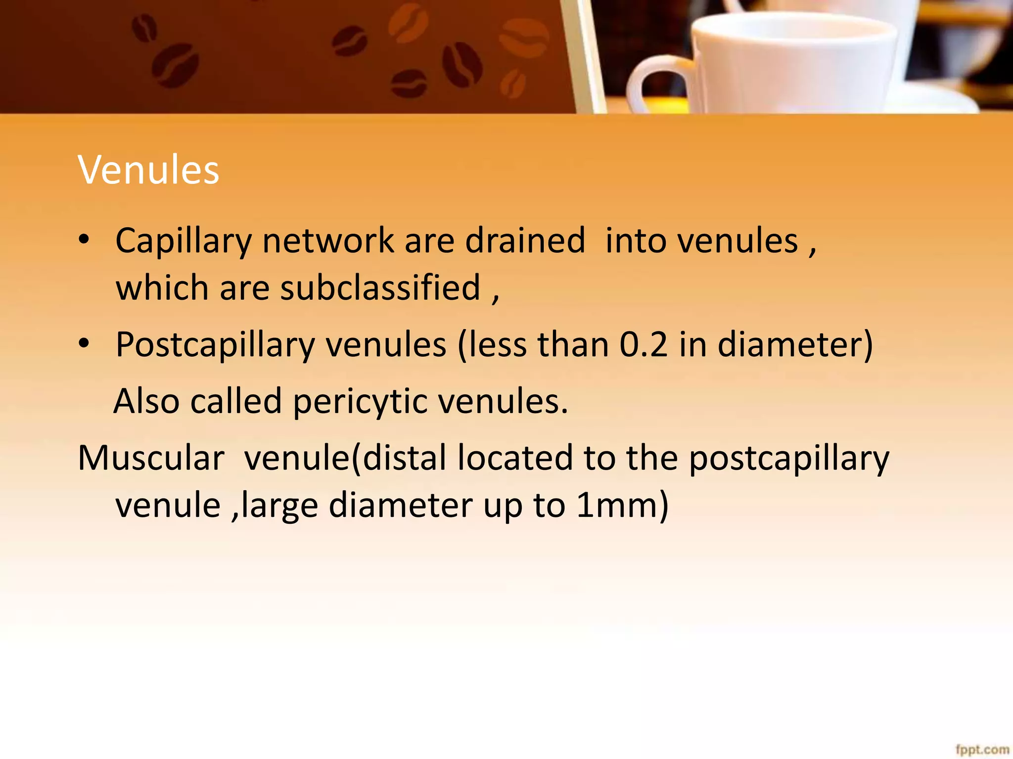 Blood vessels | PPTX