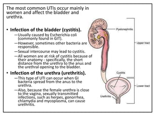 Urinary tract infections (UTI) & Renal vascular diseases | PPTX