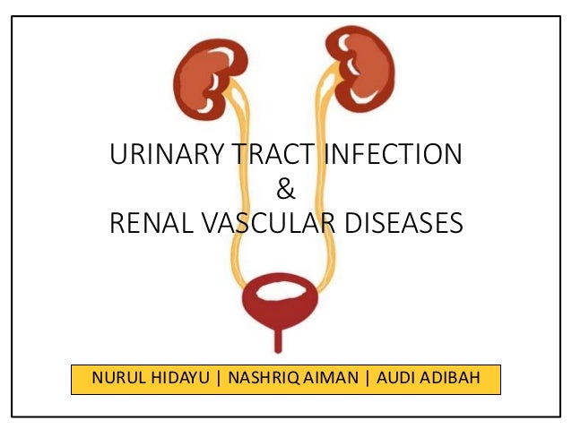Urinary Tract Infections Uti Renal Vascular Diseases