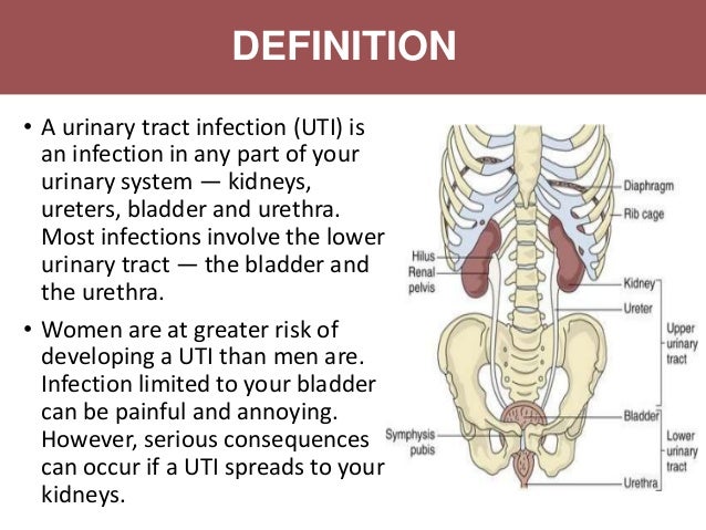 Uraniry tract infection