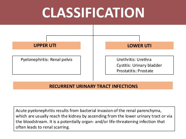 Uraniry tract infection