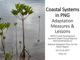 Coastal Systems
in PNG
Adaptation
Measures &
Lessons
UNFCCC Least Development
Countries Expert Group Regional
Training Workshop on
National Adaptation Plans for the
Pacific Region
10-13 July 2017
Nadi, Fiji
 