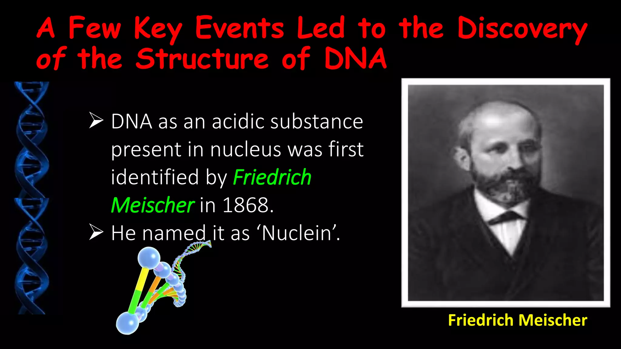 Introduction,Components, and Structure of DNA and RNA | PPTX