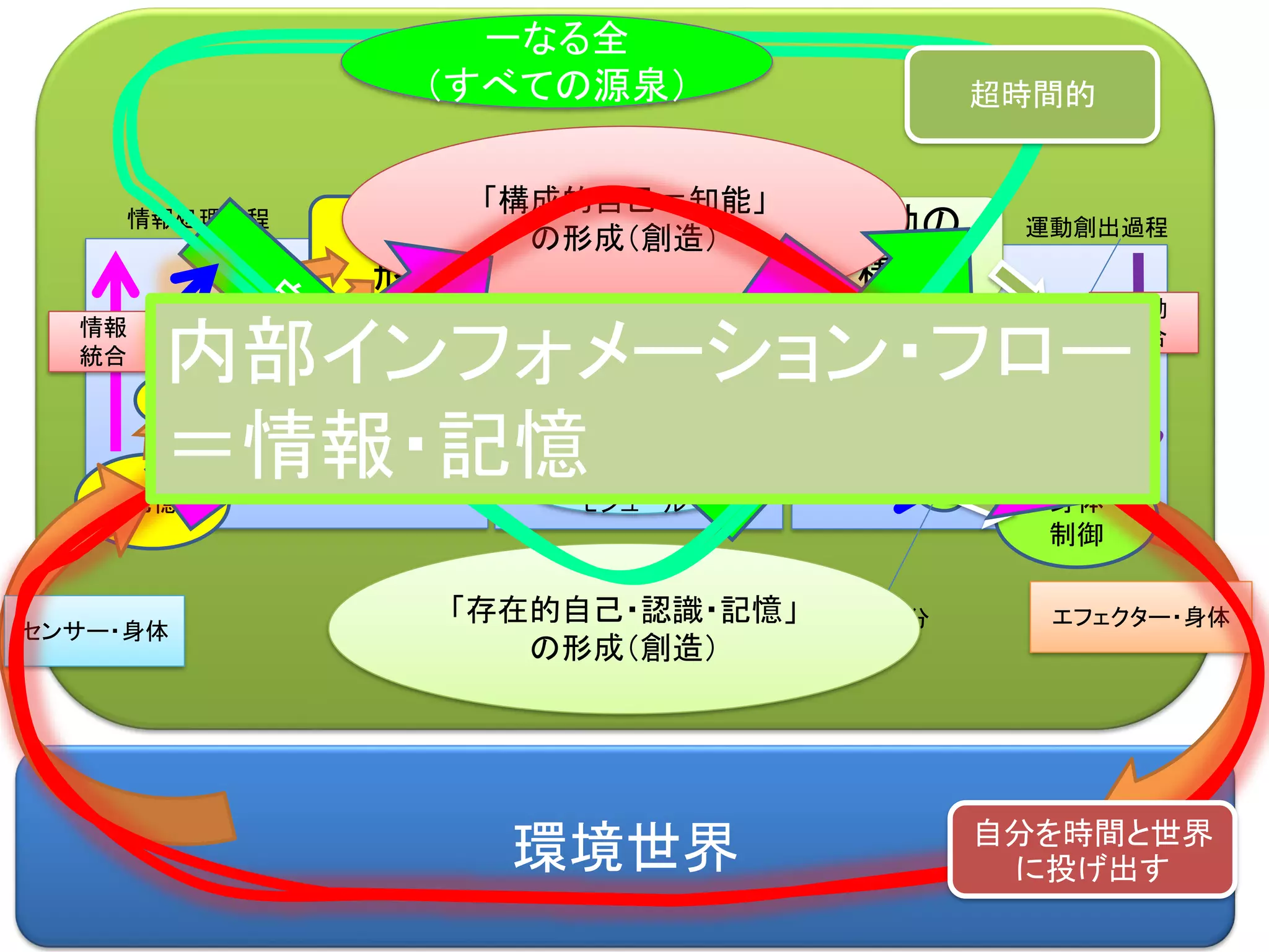 環境世界
認識の
形成
記憶
意思の
決定
身体
制御
エフェクター・身体
運動の
構成
センサー・身体
意思決定
モジュール
意思決定
モジュール
意思決定
モジュール
記憶体
情報処理過程 運動創出過程
身体部分
情報
統合
運動
統合
「構成的自己＝知能」
の形成（創造）
「存在的自己・認識・記憶」
の形成（創造）
一なる全
（すべての源泉） 超時間的
自分を時間と世界
に投げ出す
内部インフォメーション・フロー
＝情報・記憶
 