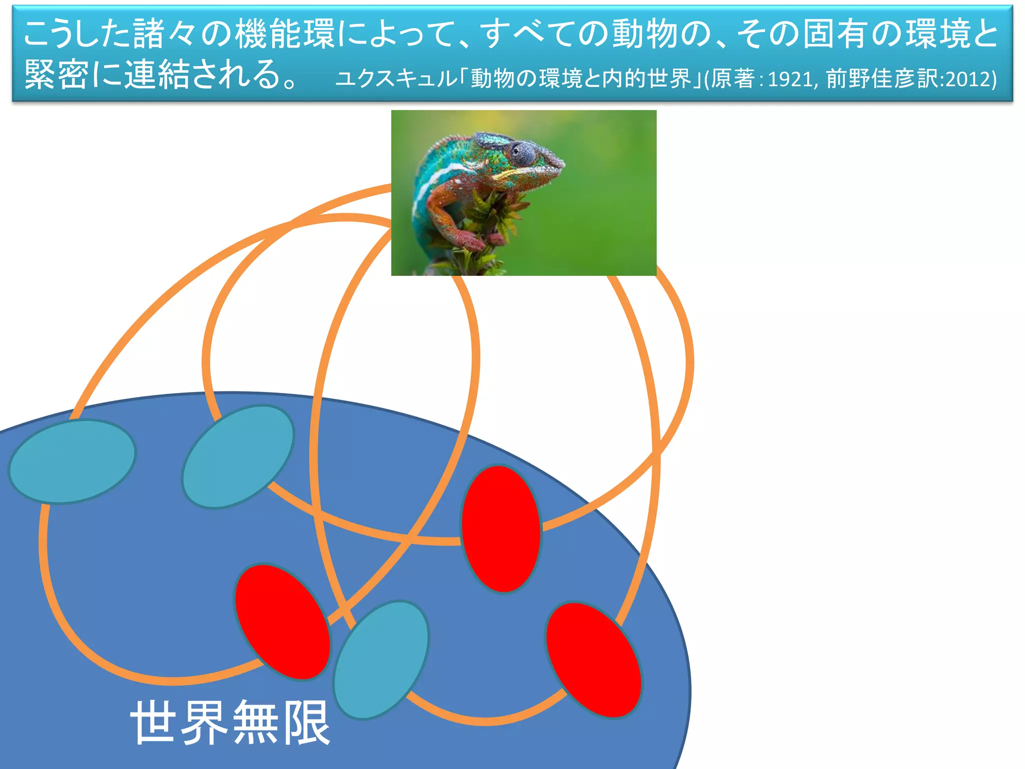 世界無限
こうした諸々の機能環によって、すべての動物の、その固有の環境と
緊密に連結される。 ユクスキュル「動物の環境と内的世界」(原著：1921, 前野佳彦訳:2012)
 