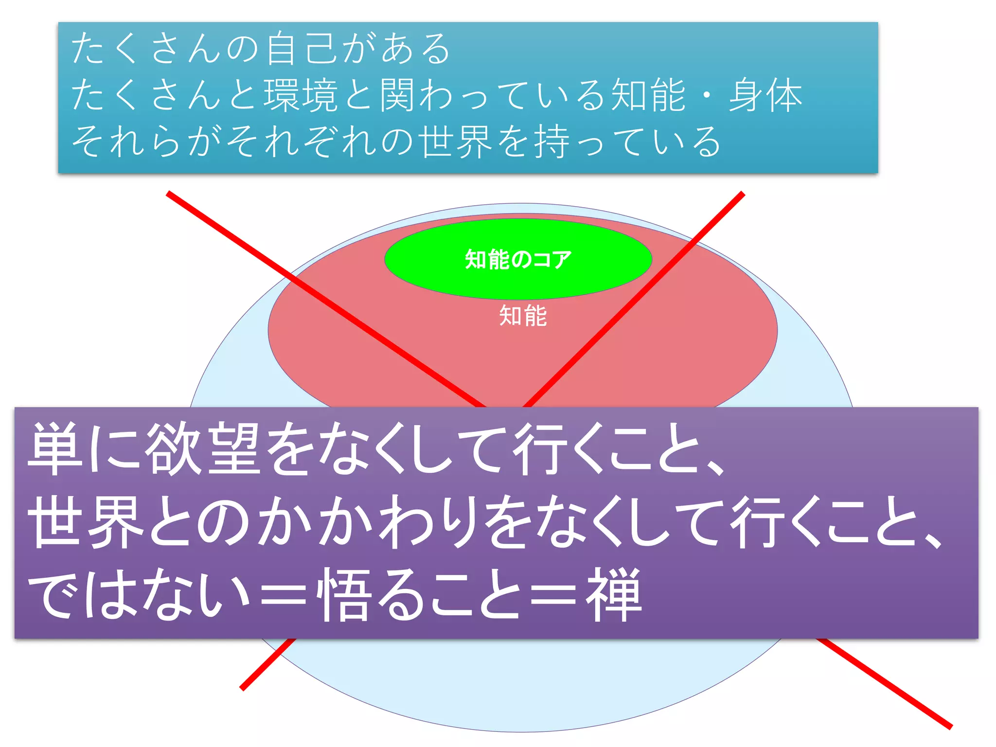 環境
知能
知能のコア
たくさんの自己がある
たくさんと環境と関わっている知能・身体
それらがそれぞれの世界を持っている
単に欲望をなくして行くこと、
世界とのかかわりをなくして行くこと、
ではない＝悟ること＝禅
 