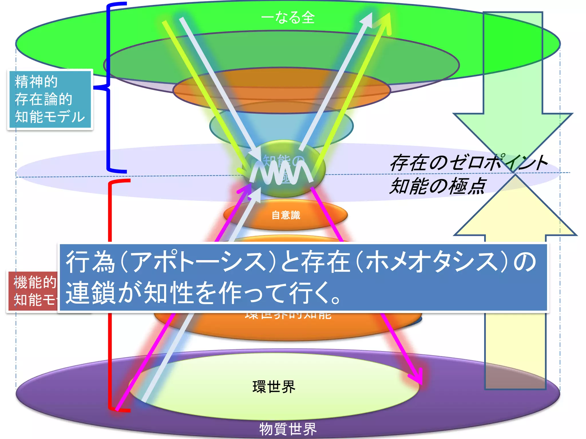 物質世界
一なる全
知能の
極
自意識
より高度な知能
環世界的知能
存在のゼロポイント
知能の極点
機能的
知能モデル
精神的
存在論的
知能モデル
環世界
行為（アポトーシス）と存在（ホメオタシス）の
連鎖が知性を作って行く。
 