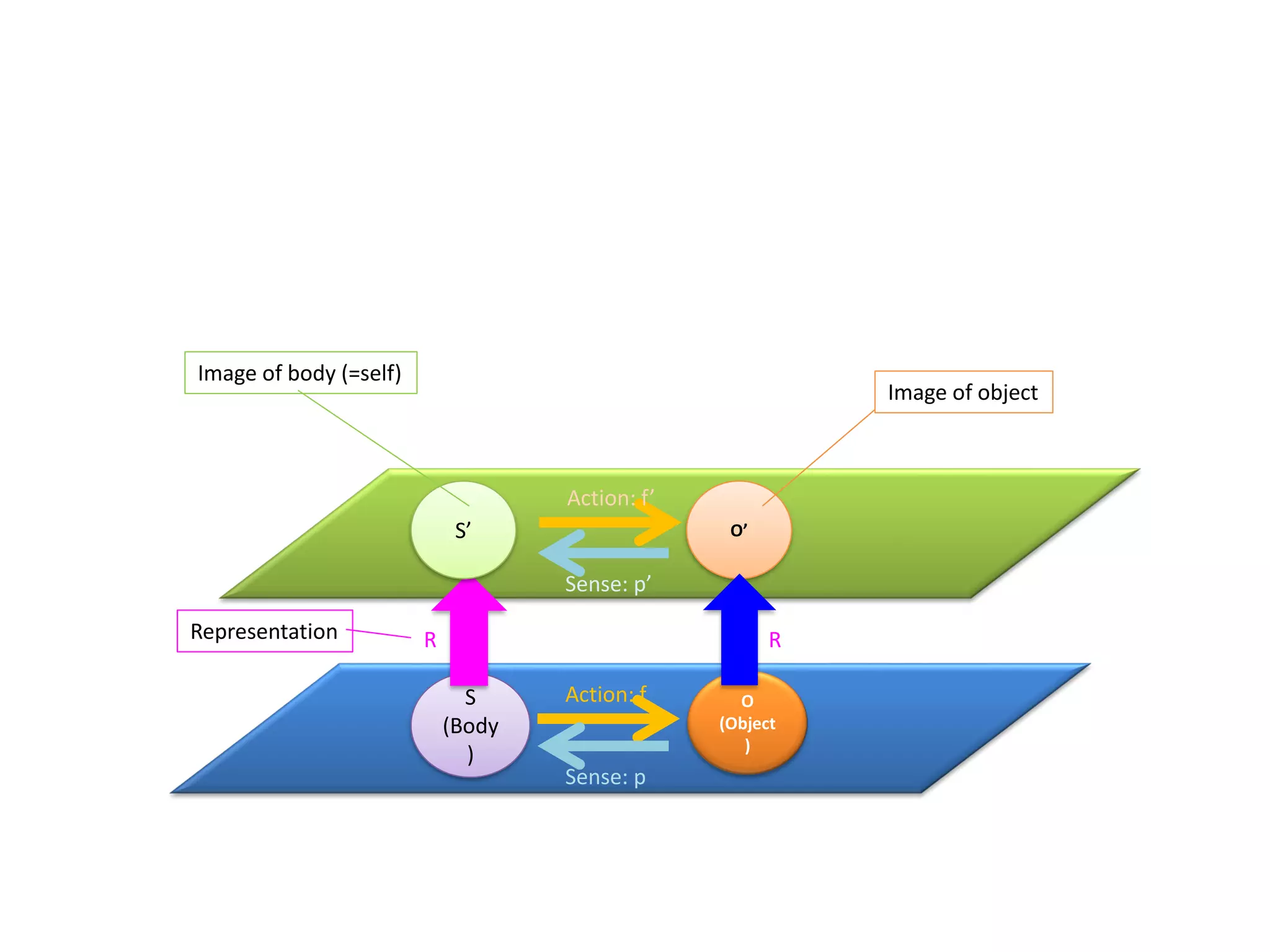 S
(Body
)
O
(Object
)
Action: f
O’
Sense: p
S’
Action: f’
Sense: p’
Image of object
Image of body (=self)
R RRepresentation
 