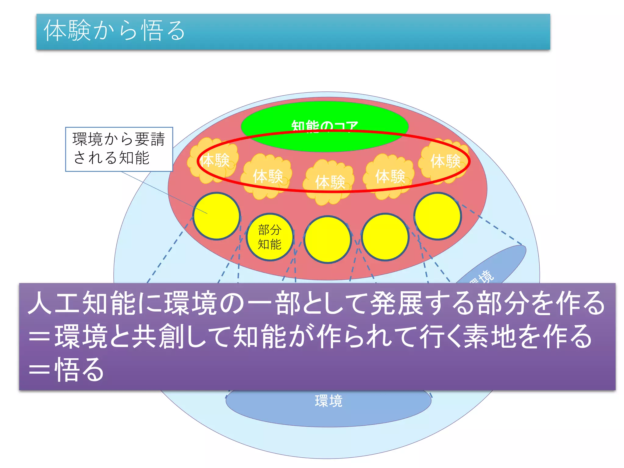 環境
知能
知能のコア
環境から要請
される知能
環境
体験から悟る
部分
知能
体験
体験 体験 体験
体験
人工知能に環境の一部として発展する部分を作る
＝環境と共創して知能が作られて行く素地を作る
＝悟る
 