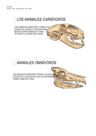 Biología
Elaboro: Dra. Ma. Eugenia Tovar Mtz.
 