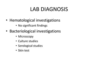 LAB DIAGNOSIS
• Hematological investigations
• No significant findings
• Bacteriological investigations
• Microscopy
• Culture studies
• Serological studies
• Skin test
 