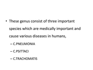 • These genus consist of three important
species which are medically important and
cause various diseases in humans,
– C.PNEUMONIA
– C.PSITTACI
– C.TRACHOMATIS
 