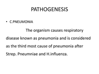 PATHOGENESIS
• C.PNEUMONIA
The organism causes respiratory
disease known as pneumonia and is considered
as the third most cause of pneumonia after
Strep. Pneumniae and H.influenza.
 