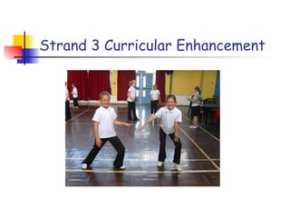 Strand 3 Curricular Enhancement 