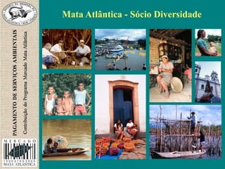 Mata Atlântica - Sócio Diversidade
 