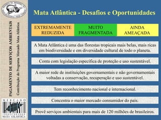 Mata Atlântica - Desafios e Oportunidades
EXTREMAMENTE
REDUZIDA
AINDA
AMEAÇADA
MUITO
FRAGMENTADA
A Mata Atlântica é uma das florestas tropicais mais belas, mais ricas
em biodiversidade e em diversidade cultural de todo o planeta.
Conta com legislação específica de proteção e uso sustentável.
A maior rede de instituições governamentais e não governamentais
voltadas a conservação, recuperação e uso sustentável.
Tem reconhecimento nacional e internacional.
Concentra o maior mercado consumidor do país.
Provê serviços ambientais para mais de 120 milhões de brasileiros.
 