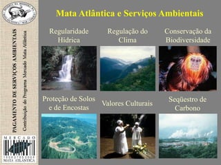 Mata Atlântica e Serviços Ambientais
Regularidade
Hídrica
Regulação do
Clima
Seqüestro de
Carbono
Valores Culturais
Conservação da
Biodiversidade
Proteção de Solos
e de Encostas
 