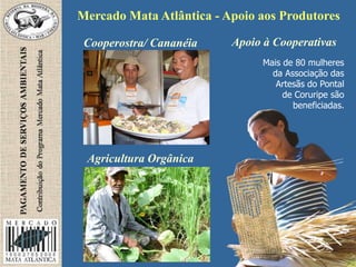 Mercado Mata Atlântica - Apoio aos Produtores
Mais de 80 mulheres
da Associação das
Artesãs do Pontal
de Coruripe são
beneficiadas.
Apoio à CooperativasCooperostra/ Cananéia
Agricultura Orgânica
 