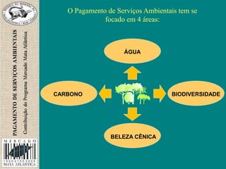O Pagamento de Serviços Ambientais tem se
focado em 4 áreas:
ÁGUA
BIODIVERSIDADE
BELEZA CÊNICA
CARBONO
 