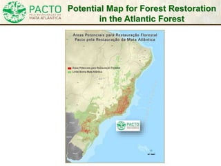 Potential Map for Forest Restoration
in the Atlantic Forest
 