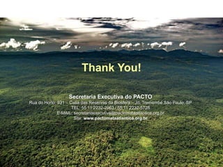Thank You!
Secretaria Executiva do PACTO
Rua do Horto, 931 – Casa das Reservas da Biosfera – Jd. Tremembé São Paulo, SP
TEL: 55 11 2232-2963 / 55 11 2232-5728
E-MAIL: secretariaexecutiva@pactomataatlantica.org.br
Site: www.pactomataatlantica.org.br
 