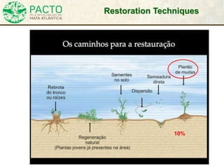 Restoration Techniques
10%
 