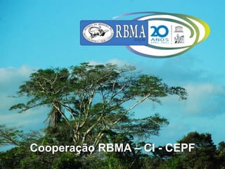 Cooperação RBMA – CI - CEPF
 