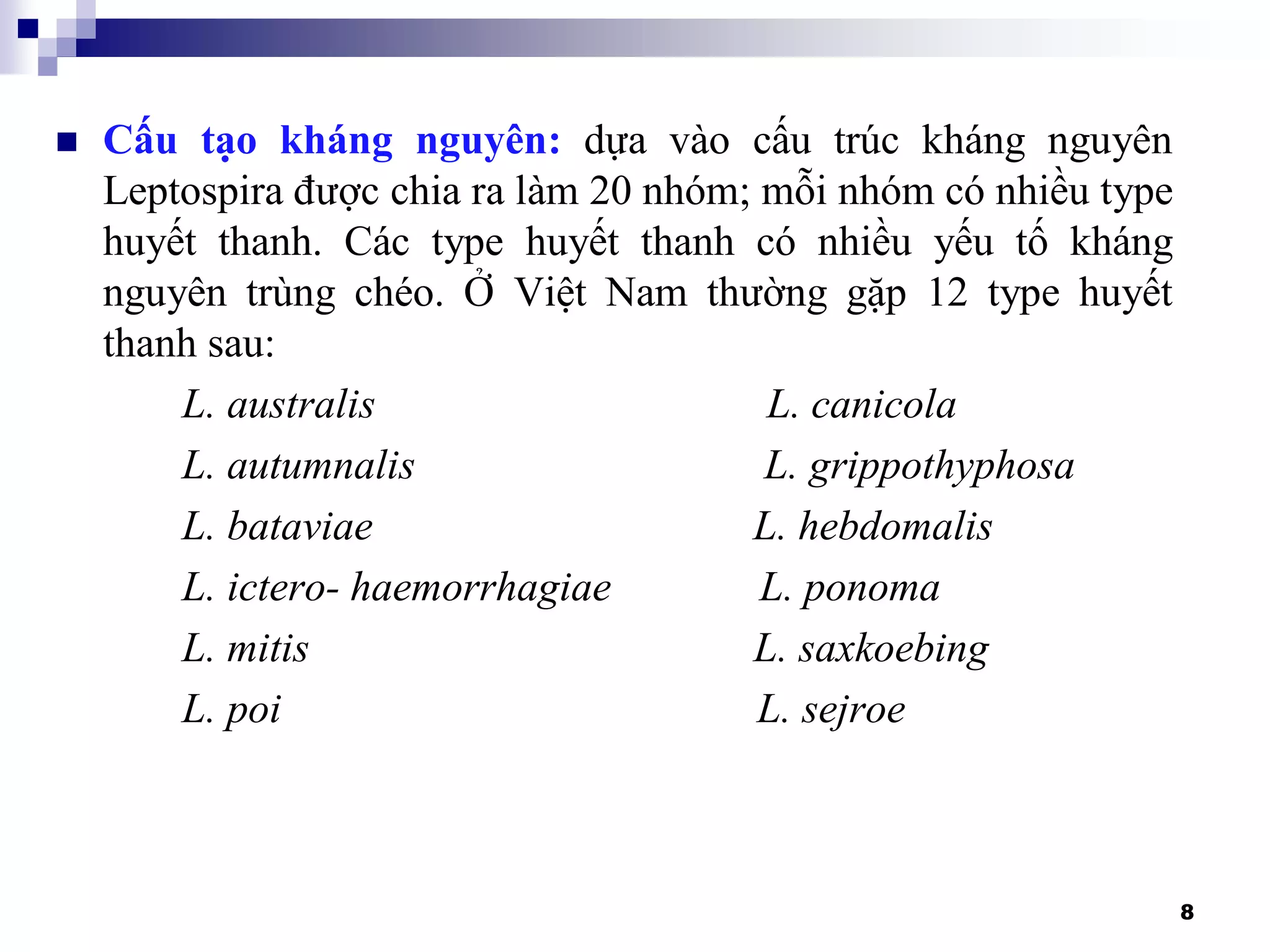 Cheo Type Bệnh nhiễm Leptospira - 2019 - Đại học Y dược TPHCM | PDF
