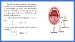 20. Pedagogy of Biological Science (Part II ) - Organ system in animals