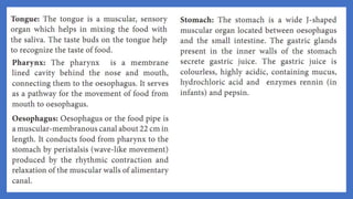 20. Pedagogy of Biological Science (Part II ) - Organ system in animals