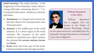 20. Pedagogy of Biological Science (Part II ) - Organ system in animals