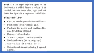20. Pedagogy of Biological Science (Part II ) - Organ system in animals
