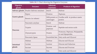 20. Pedagogy of Biological Science (Part II ) - Organ system in animals
