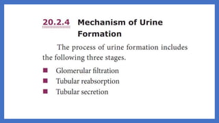 20. Pedagogy of Biological Science (Part II ) - Organ system in animals