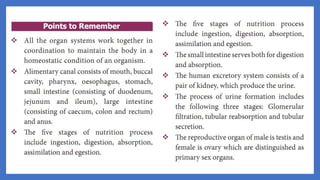 20. Pedagogy of Biological Science (Part II ) - Organ system in animals