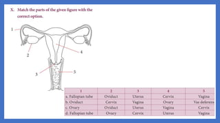 20. Pedagogy of Biological Science (Part II ) - Organ system in animals