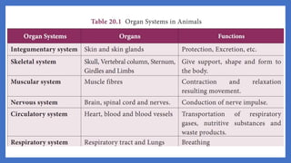 20. Pedagogy of Biological Science (Part II ) - Organ system in animals