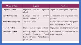 20. Pedagogy of Biological Science (Part II ) - Organ system in animals