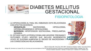 DIABETES MELLITUS
GESTACIONAL
FISIOPATOLOGIA
 LA HIPERGLICEMIA AL FINAL DEL EMBARAZO ESTA RELACIONADA
CON EFECTOS ADVERSOS:
• NEONATALES: MACROSOMIA, HIPOGLICEMIA,
HIPERBILIRRUBINEMIA E HIPOCALCEMIA.
• MATERNOS: HIPERTENSION GESTACIONAL, PREECLAMPSIA,
CESAREA.
 EL ESTUDIO HAPO (HYPERGLYCEMIA AND ADVERSE PREGNANCY
OUTCOMES STUDY) MOSTRO QUE INCLUSO INCREMENTOS
LEVES DE GLICEMIA AUMENTAN EL RIESGO DE MACROSOMIA Y
LAS CONSECUENCIAS RELACIONADAS.
TNF-∝
LACTOGENO
PLACENTARIO
Ellen W, Seely, MD. Chloe Zera, MD, MPH. Gestational diabetes mellitus. Epocrates Online 2
Metzger BE, Buchanan ta, Coustan DR, et al. Summary and recommendations of the Fith international Workshop-Conference of Gestational Diabetes Mellitus. Diabetes Care. 2007.
American Diabetes Association. Standars of medical care in diabetes 2018. Diabetes Care.
 
