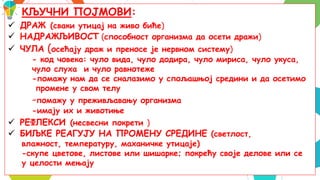 2
КЉУЧНИ ПОЈМОВИ:
 ДРАЖ (сваки утицај на живо биће)
 НАДРАЖЉИВОСТ (способност организма да осети дражи)
 ЧУЛА (осећају драж и преносе је нервном систему)
- код човека: чуло вида, чуло додира, чуло мириса, чуло укуса,
чуло слуха и чуло равнотеже
-помажу нам да се сналазимо у спољашњој средини и да осетимо
промене у свом телу
-помажу у преживљавању организма
-имају их и животиње
 РЕФЛЕКСИ (несвесни покрети )
 БИЉКЕ РЕАГУЈУ НА ПРОМЕНУ СРЕДИНЕ (светлост,
влажност, температуру, маханичке утицаје)
-скупе цветове, листове или шишарке; покрећу своје делове или се
у целости мењају
 