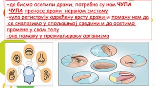 4
-да бисмо осетили дражи, потребна су нам ЧУЛА
-ЧУЛА преносе дражи нервном систему
-чула региструју одређену врсту дражи и помажу нам да
се сналазимо у спољашњој средини и да осетимо
промене у свом телу
-она помажу у преживљавању организма
 