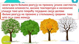 8
-многе врсте биљака реагују на промену јачине светлости,
количине влажности, висине температуре и механичке
утицаје тако што покрећу поједине своје делове
-биљке реагују на промене у спољашњој средини тако
што се и саме мењају
 