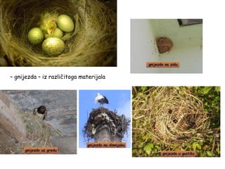 – gnijezda – iz različitoga materijala
 