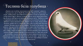 Теслина бела голубица
„Хранио сам голубове, на хиљаде њих, већ годинама“, рекао је,
„Хиљаде њих, јер ко би их све запамтио. Медјутим, био је један
голуб, дивна птица, чисто бео са светлосивим пегама на крилима; он
је био нешто друго. Била је то женка. Могао сам је препознати било
где. И она је мене могла да пронадје на сваком месту. Требало је само
да помислим на њу, да је позовем и она би долетела. Ја сам њу
разумео и она је разумела мене. Заволео сам ту птицу. Када је била
болесна, осећао сам то; дошла би у моју собу и ја бих бдео над њом
данима. Неговао сам је док не оздрави. Тај голуб је био радост мог
живота. Ако сам јој био потребан, ништа друго није било важно. Док
сам њу имао, имао сам и свој животни циљ. А онда, једне ноћи док
сам у мраку лежао на кревету и као и обично решавао неке проблеме,
улетела је кроз отворен прозор и слетела на мој сто. Знао сам да сам
јој потребан, хтела је да ми саопшти нешто важно па сам устао и
пришао јој. Гледао сам је и знао да жели да ми каже – да ће умрети. А
онда, када сам то схватио, видео сам светлост како избија из њених
очију – снажан сноп светлости.“
 