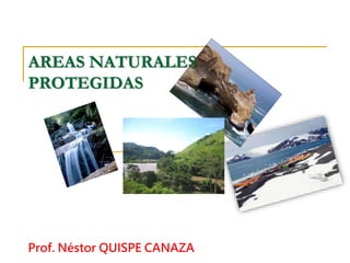 AREAS NATURALES
PROTEGIDAS
Prof. Néstor QUISPE CANAZA
 