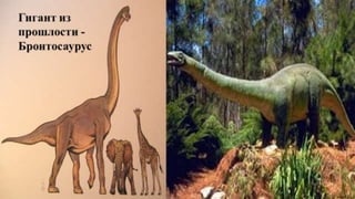  МЕЗОЗОИК ( средње доба)
 Трајала је 175 милиона година
 