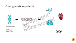 Osteogenesis Imperfecta
Genetic disease:
COL1A1 gene
COL1A2 gene
Altered
Collagen type 1
Copyright
Silvia Storoni
 